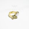 SAE-31 Celestial Ring