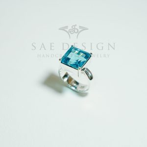 SAE-241 Everlisse