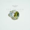 SAE-66 Argenté Line
